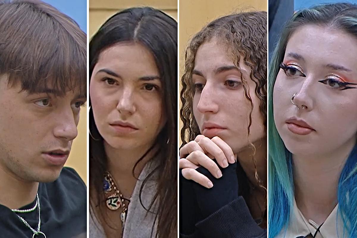 Amici 25, reazione degli esclusi dai prof per il Serale (Collage screen Witty Tv)